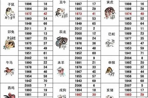 屬狗樓層|属狗最佳住房楼层和风水方位